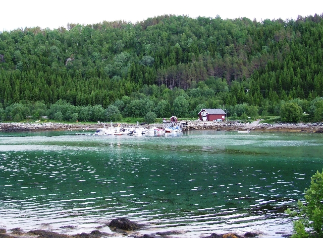 Small Harbour.JPG